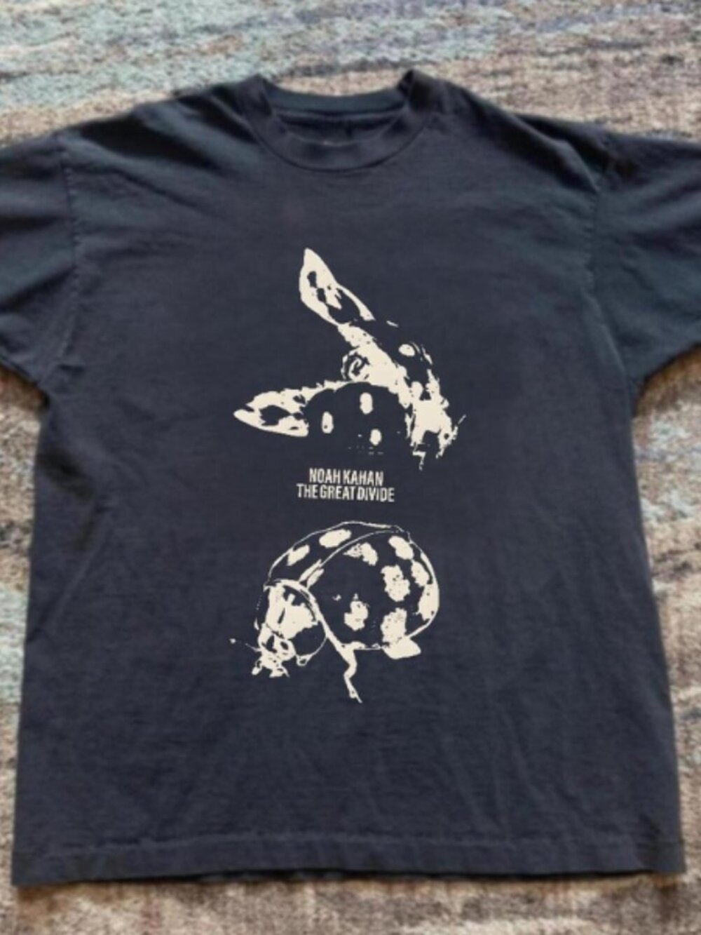 Noah Kahan "The Great Divide" Graphic T-Shirt